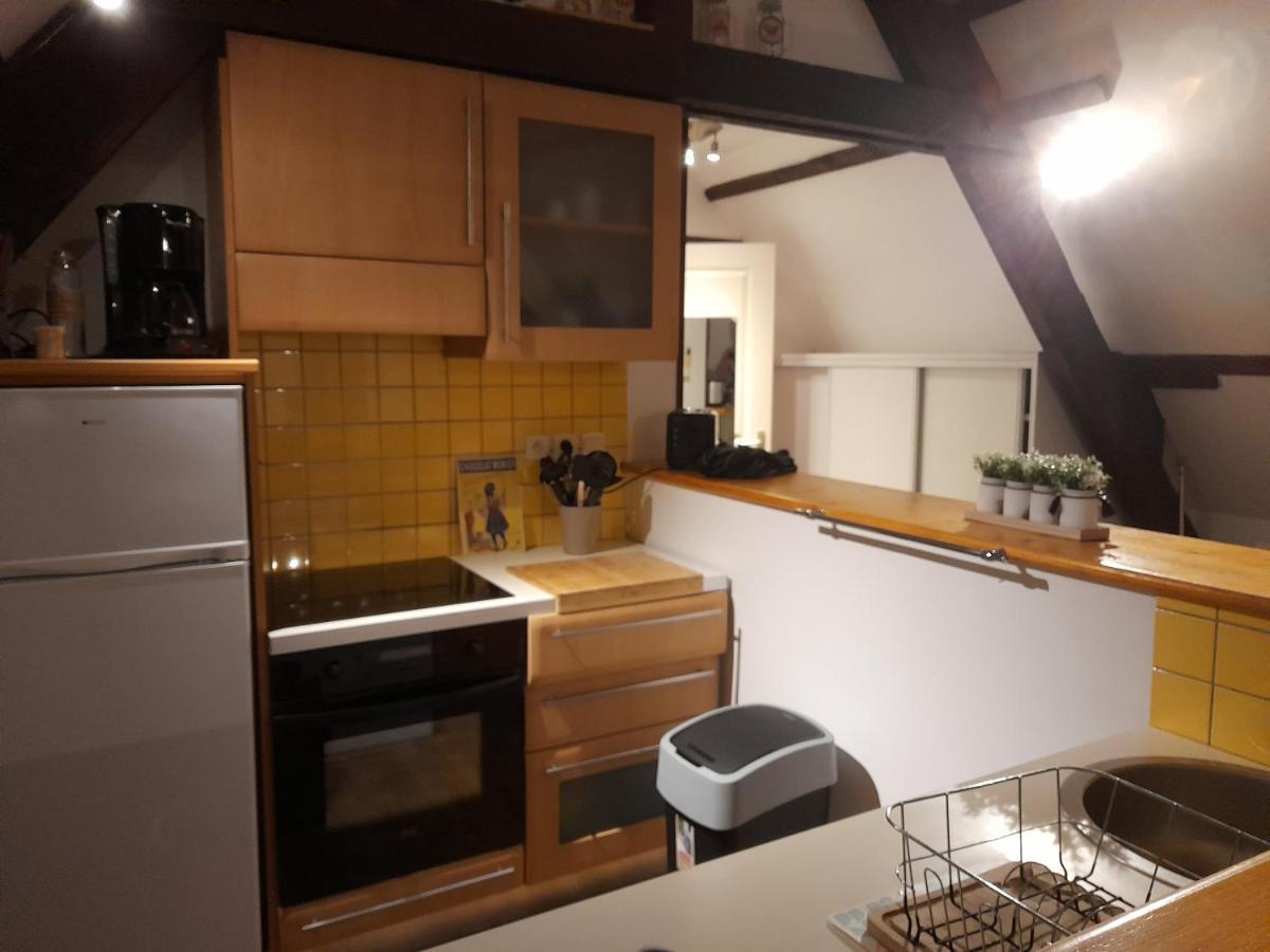 Le Nid D'Hirondelles - Appartement De Caractere Hypercentre Au Calme Bourges Dış mekan fotoğraf